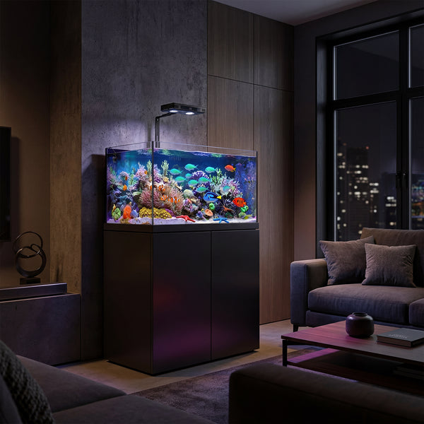 90 gallon reef aquarium complete set