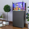 silver rimless aquarium