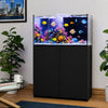 Aqua Dream black coral reef aquarium displayed in a modern interior