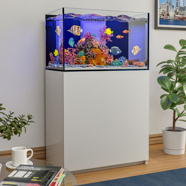 90 gallon reef aquarium