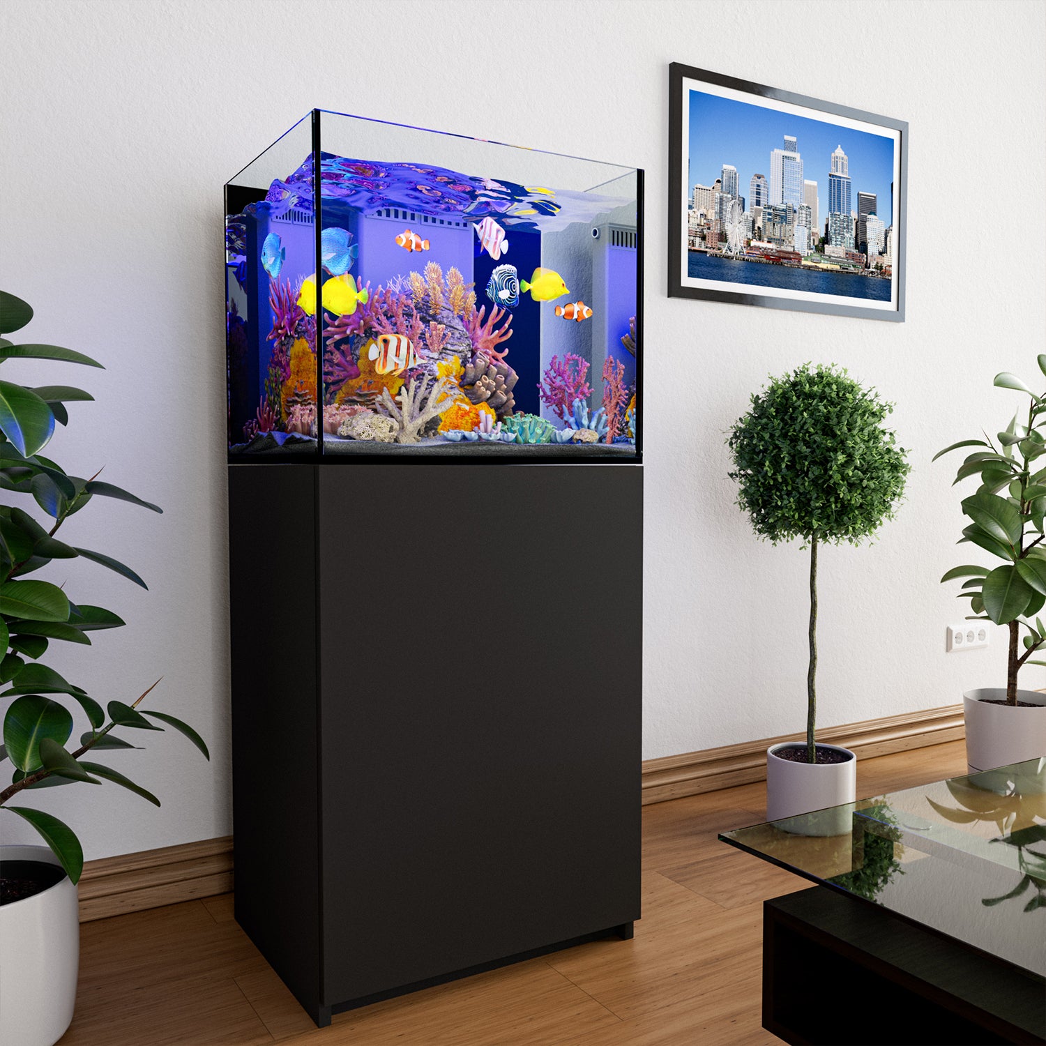 50 gallon aquarium