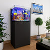 50 gallon aquarium