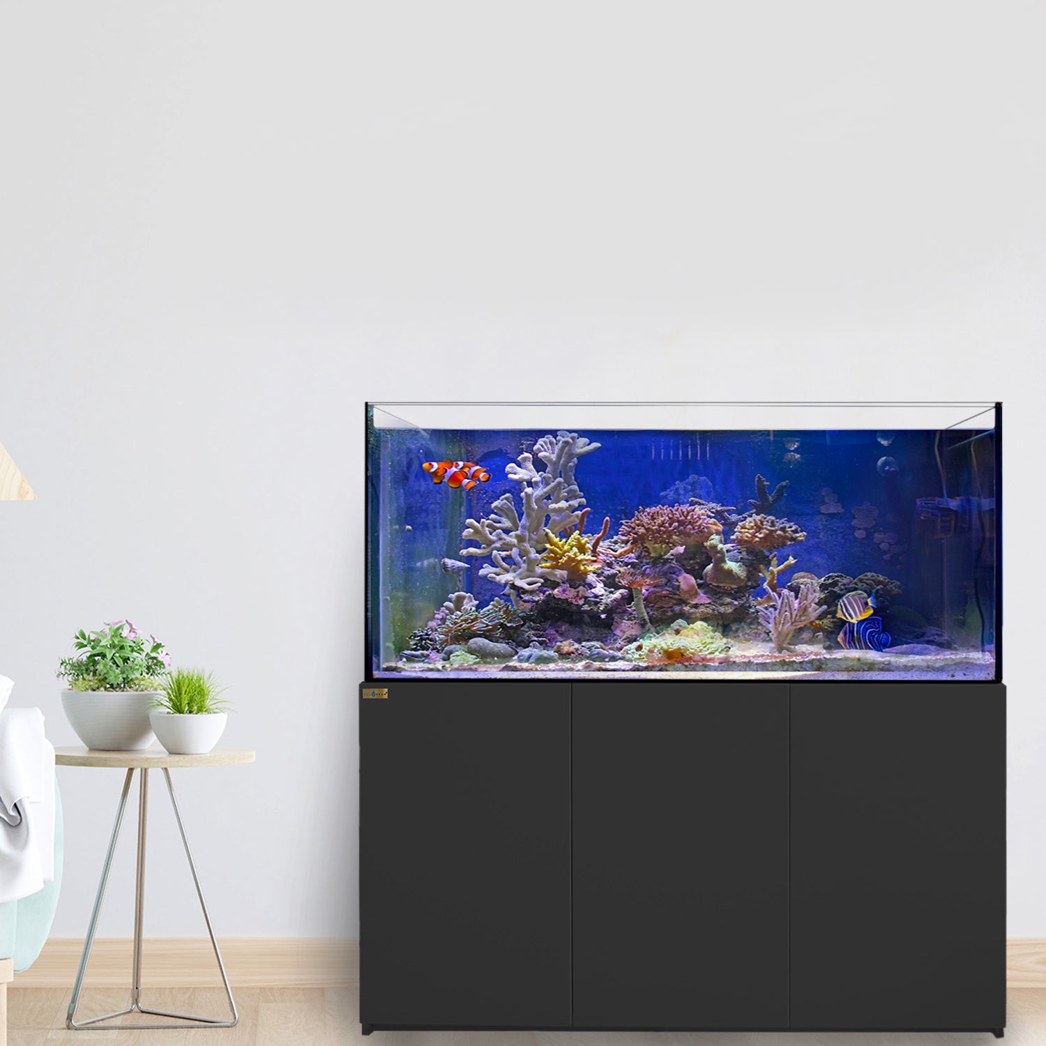 185 Gallon Coral Reef Aquarium Ultra Clear Glass Tank & Built in Sump All Black