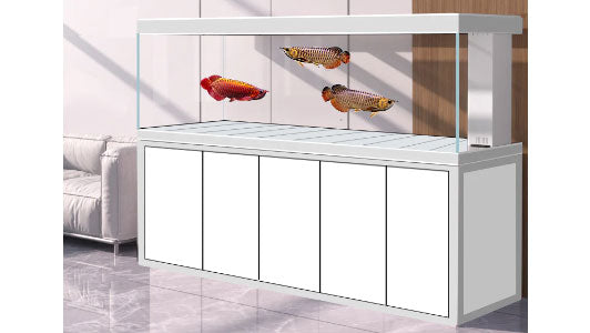 Image showcasing Huge Fish Tanks for Sale – Large Aquariums for Homes & Businesses