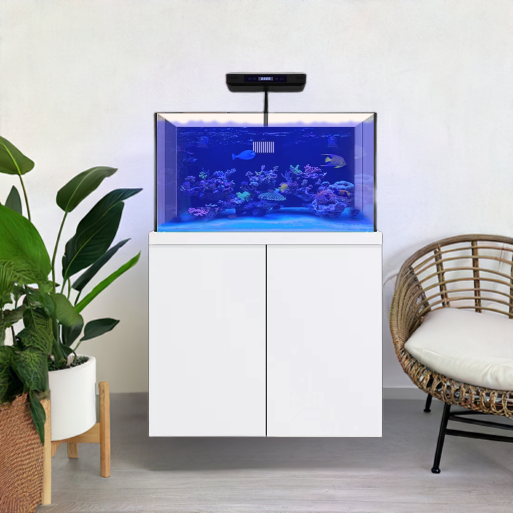 100 Gallon Coral Reef Aquarium Fish Tank Complete Set