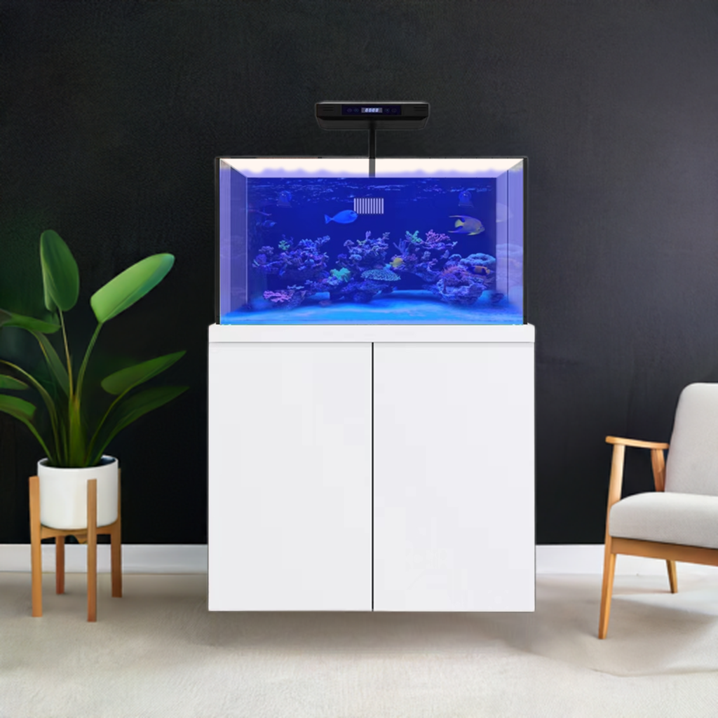 100 Gallon Coral Reef Aquarium Fish Tank Complete Set