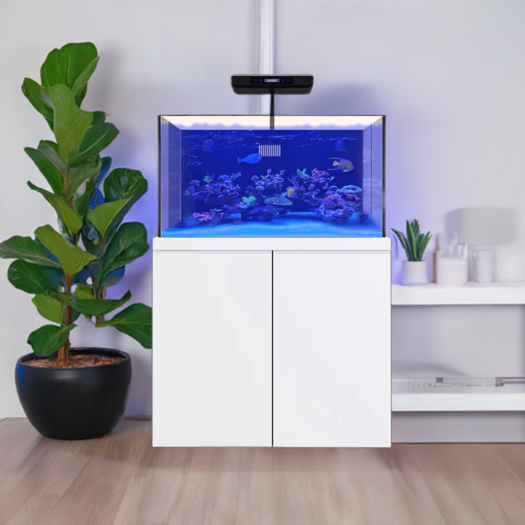 100 Gallon Coral Reef Aquarium Fish Tank Complete Set