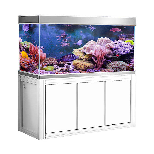 Latest Collection Of Affordable Premium Aquariums