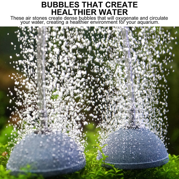 Aqua Dream Air Stone 4.7 Inch Dome Diffuser for Fish Tank Aquarium Air Pump Aqua Dream Air Stone 4.7 Inch Dome Diffuser for Fish Tank Aquarium Air Pump