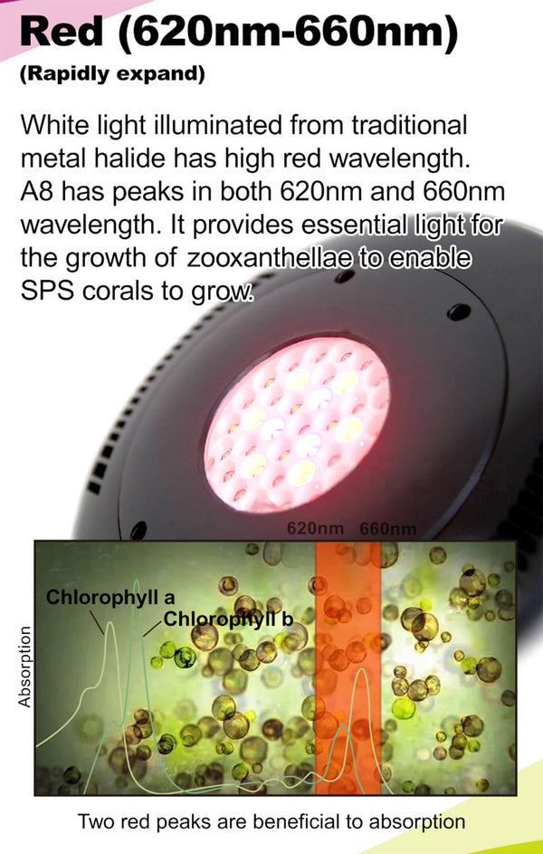 Coral Reef LED Aquarium Light 90W AQUADREAM A8 Programmable
