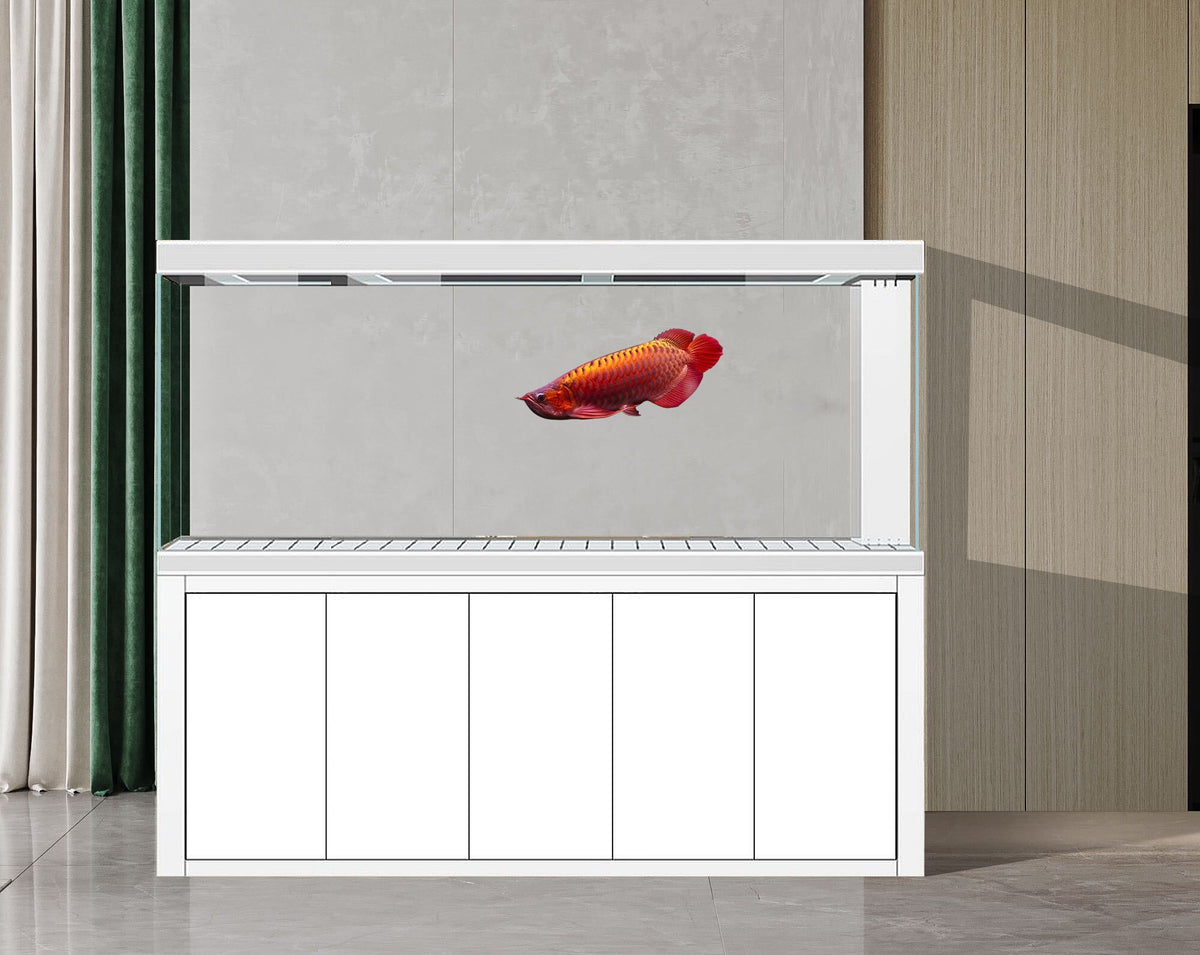 Aqua Dream Tempered Glass Aquarium 400 Gallon Fish Tank Complete Set W