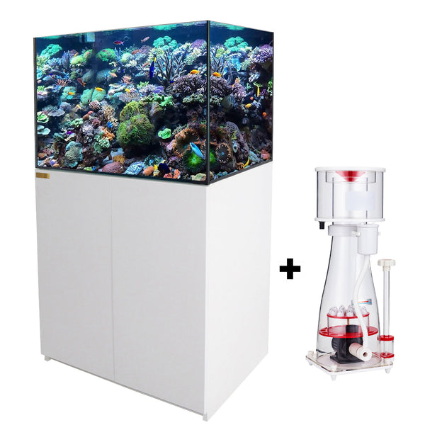 How to get crystal clear aquarium water - Help Guides
