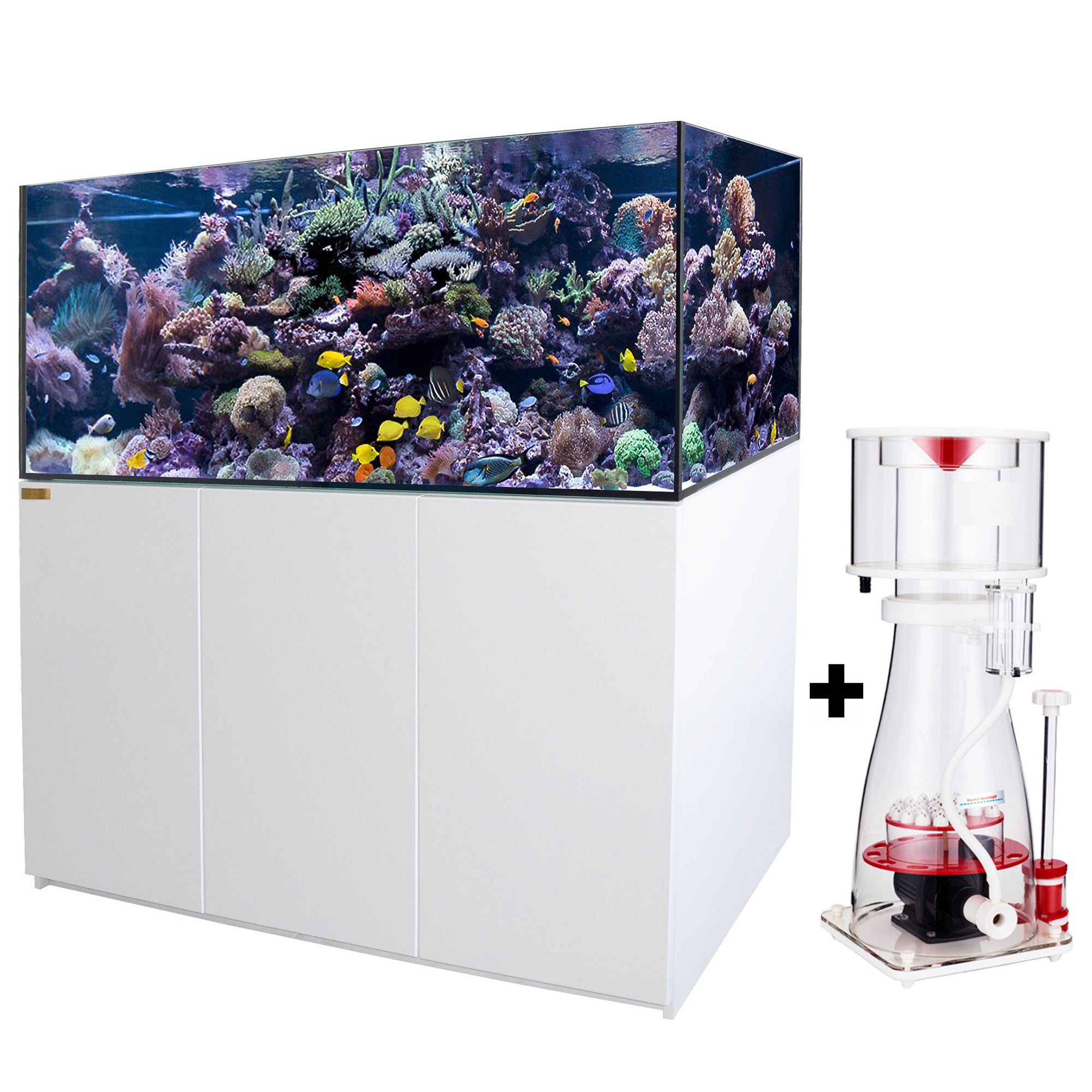 185 Gallon Coral Reef Aquarium Ultra Clear Glass Tank & Built in Sump All White