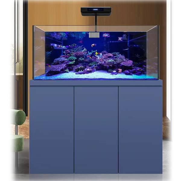 175 gallon fish tank outlet
