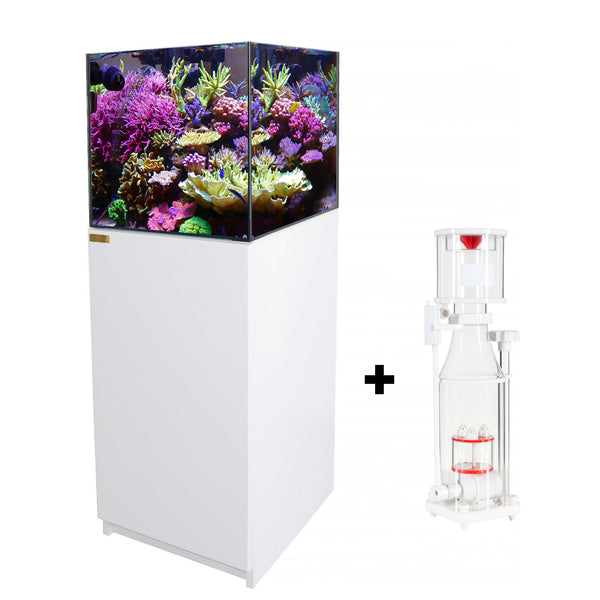 37 Gallon Coral Reef Aquarium Ultra Clear Glass Tank & Built in Sump All  White