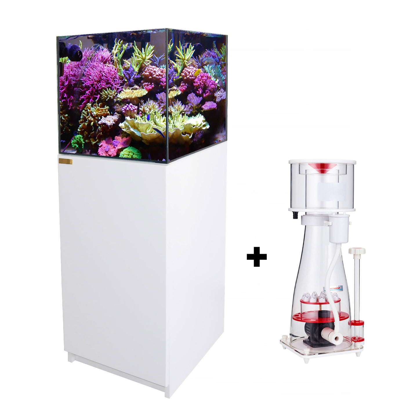 50 Gallon Coral Reef Aquarium Ultra Clear Glass Tank & Built in Sump A