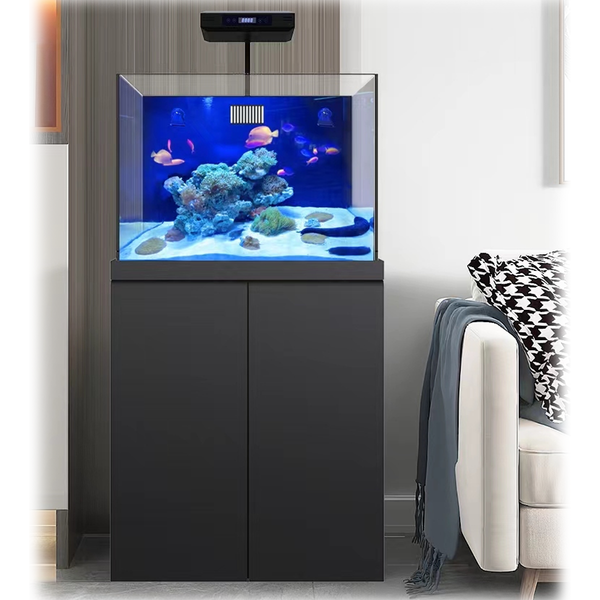 50 gallon fish tank best sale