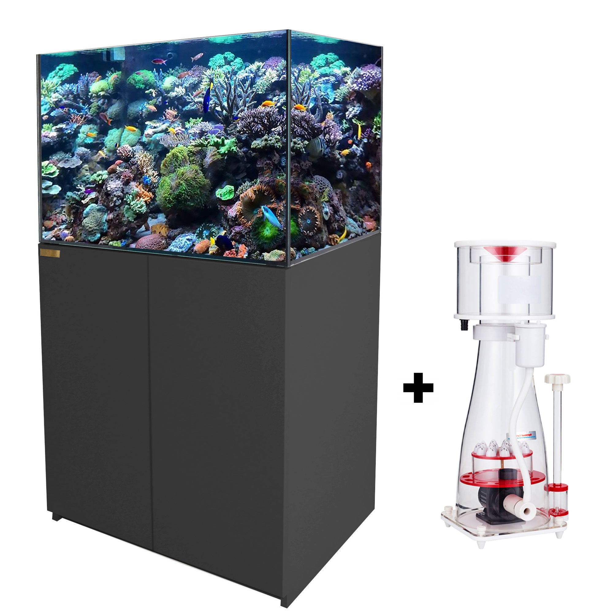 100 Gallon Coral Reef Aquarium Ultra Clear Glass Tank & Built in Sump